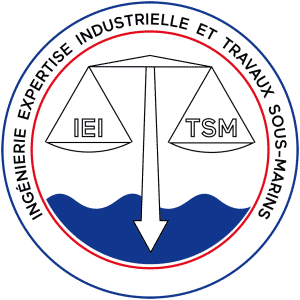 expert membre des compagnies CEBTPI, CNEJMP et CECAAM