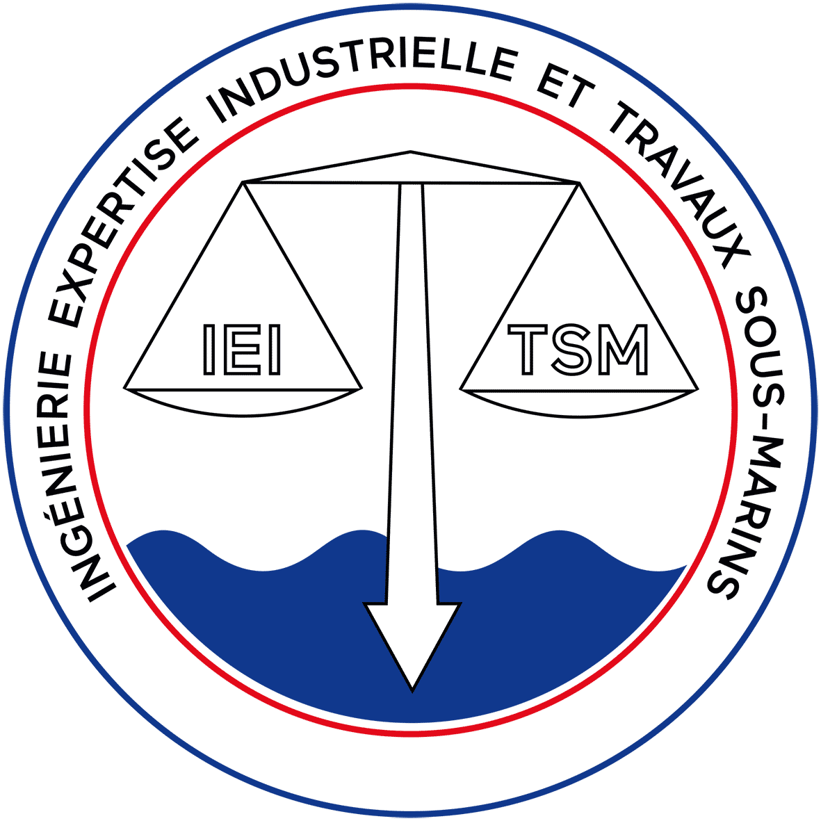 Logo IEITSM Gilles RACOT, Expert judiciaire en ingénierie mécanique et travaux sous-marins